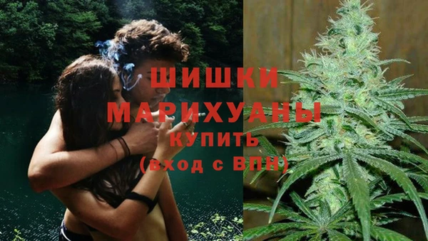 гидропоника Саяногорск