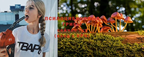 синтетический гашиш Алексеевка