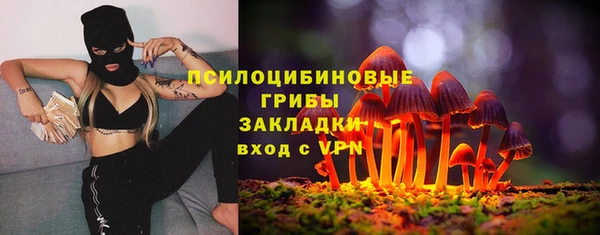 стаф Абдулино