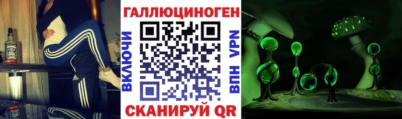 цена наркотик Гаджиево это клад Псилоцибиновые грибы Cubensis
